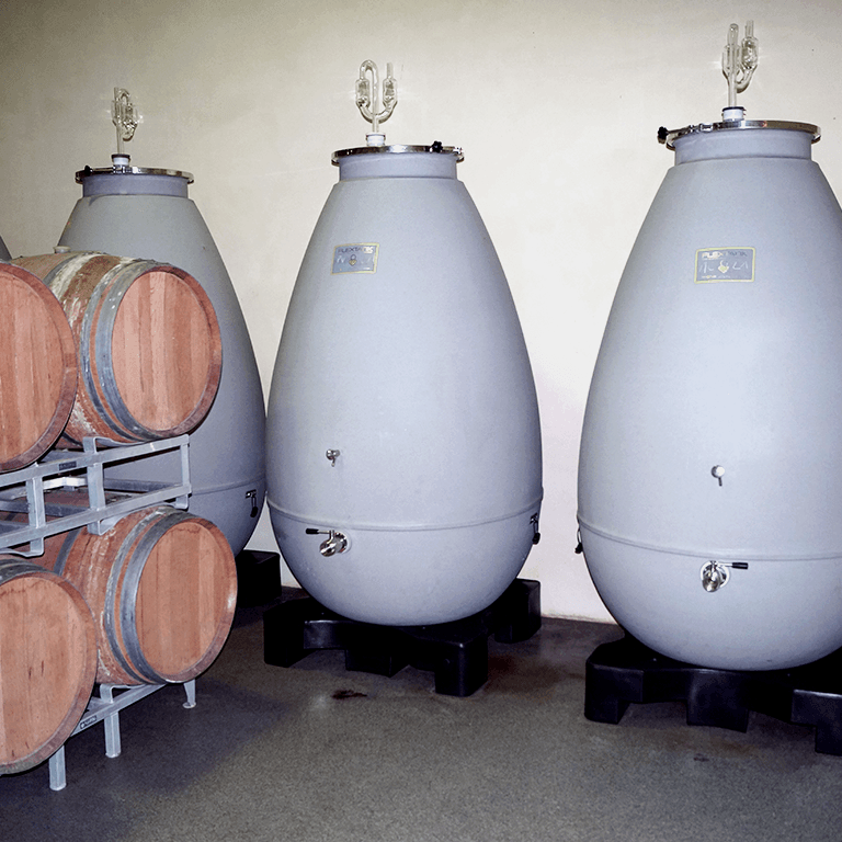 Cave Freynaud cuve